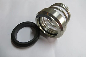 Elastomeric Bellows Seals