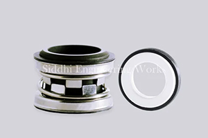 Oil seals
