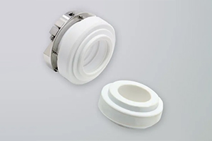 PTFE Seals